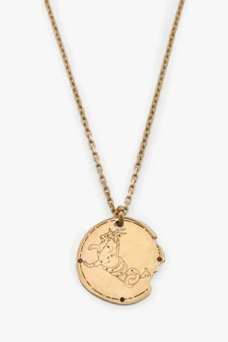 Capricorn zodiac necklace Capricorn zodiac necklace