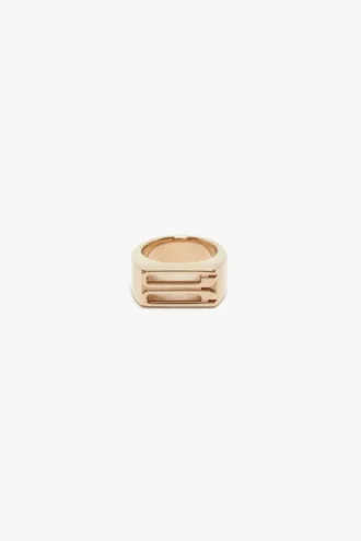 Dorian signet ring in gold Dorian signet ring in gold