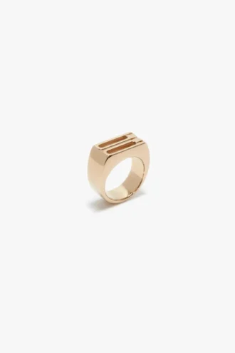 Dorian signet ring in gold Dorian signet ring in gold