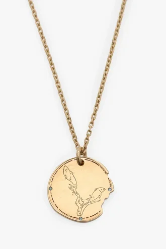 Pisces zodiac necklace